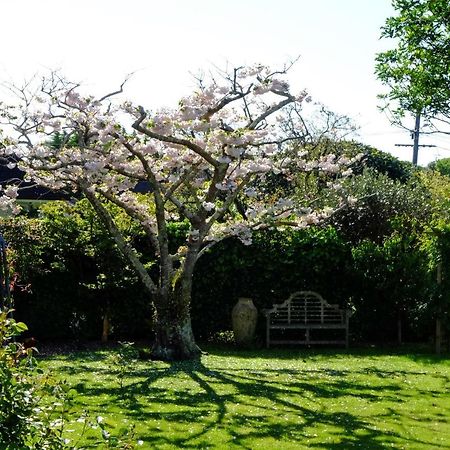Otaki Garden Retreat 아파트 외부 사진